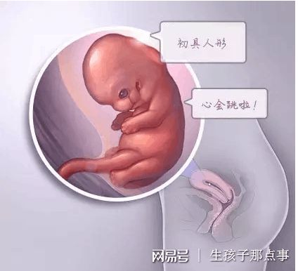 针灸
